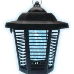 D_NQ_NP_2X_639824-MLA107894528992_032026-F