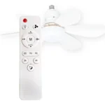 D_NQ_NP_2X_953769-MLA108238124811_032026-F